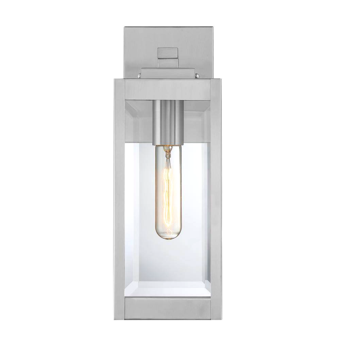 Westover 1-Light Stainless Steel Outdoor Wall Lantern Sconce