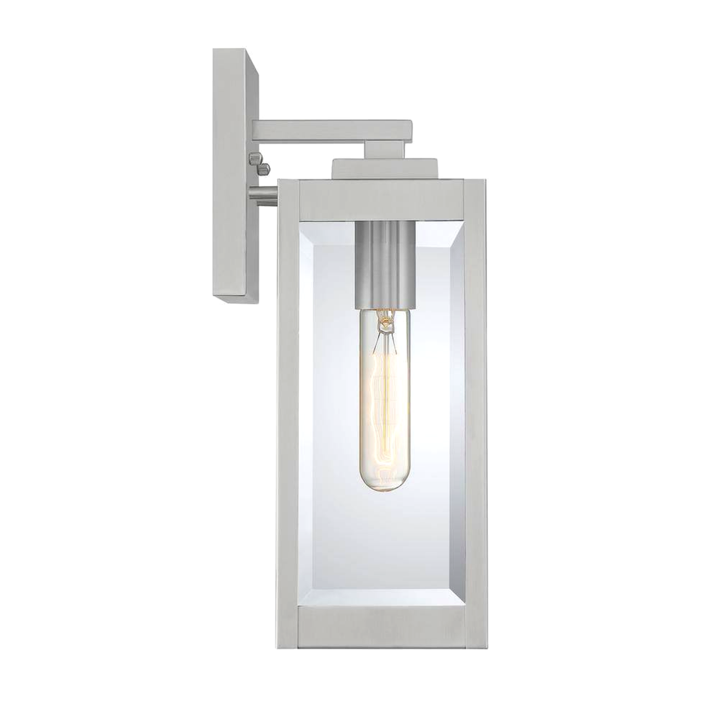Westover 1-Light Stainless Steel Outdoor Wall Lantern Sconce